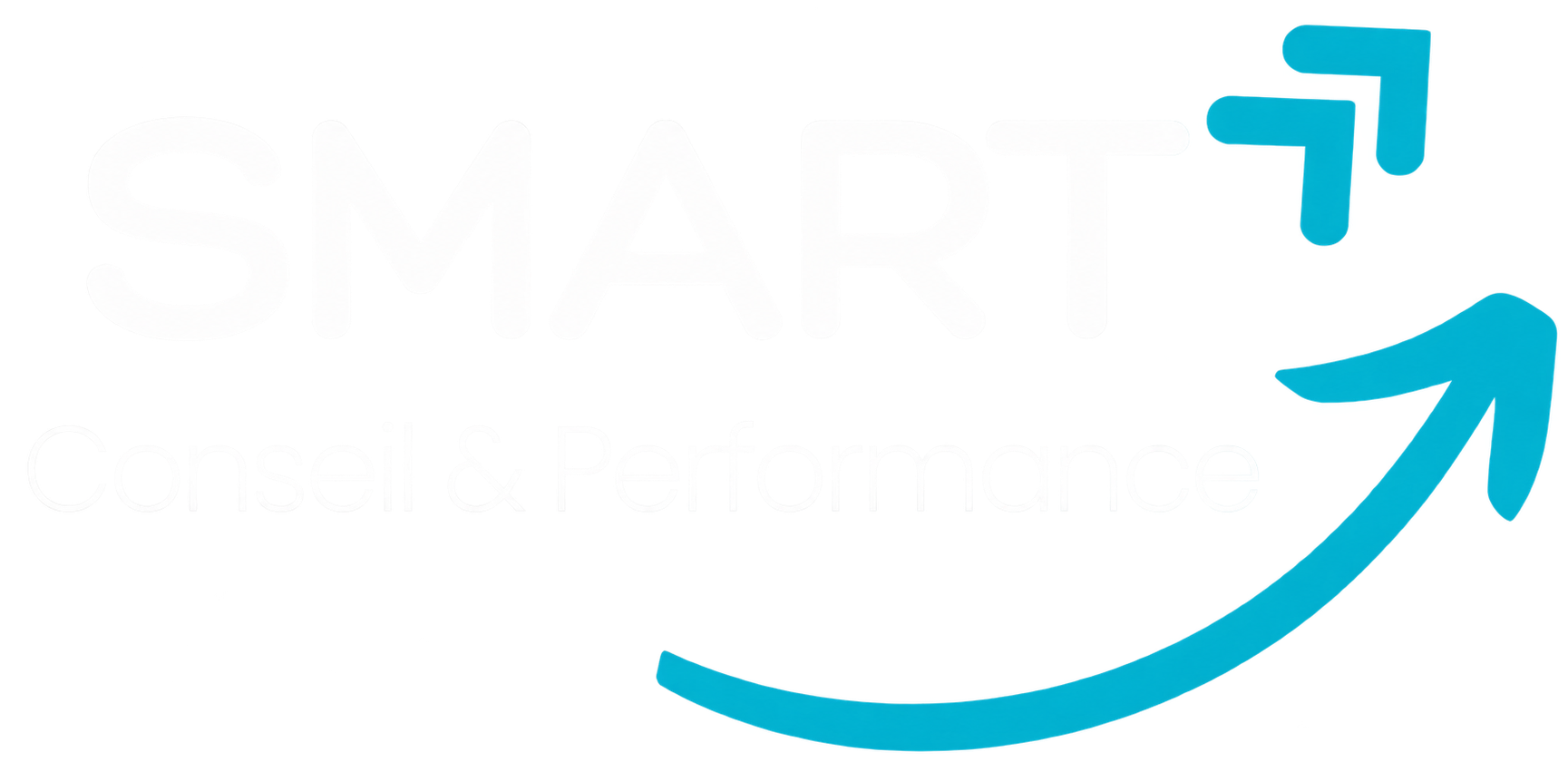 SMART Conseil & Performance