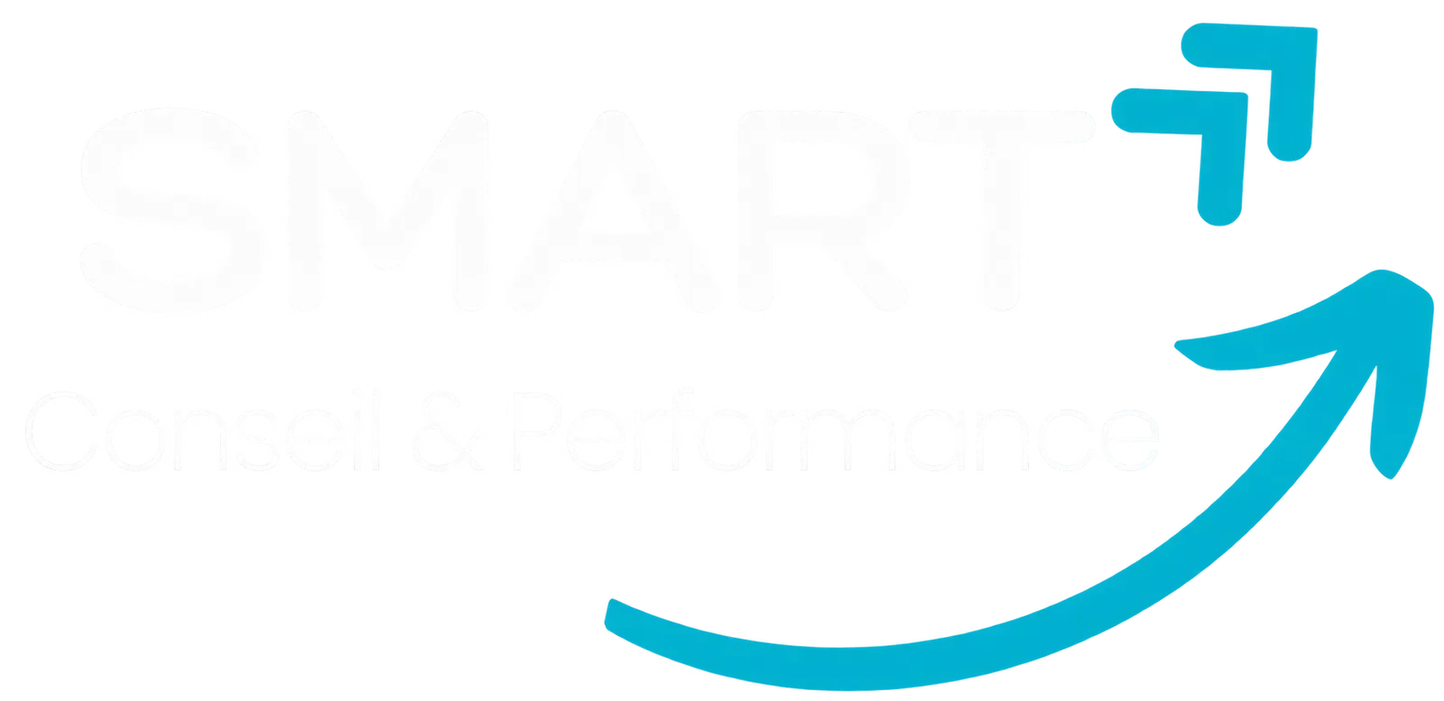 SMART Conseil & Performance